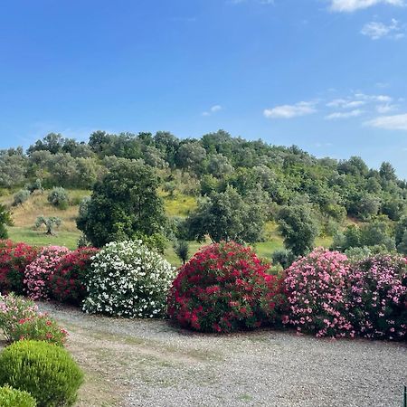 Tenuta Montemassi Podere Montauzzo Екстер'єр фото