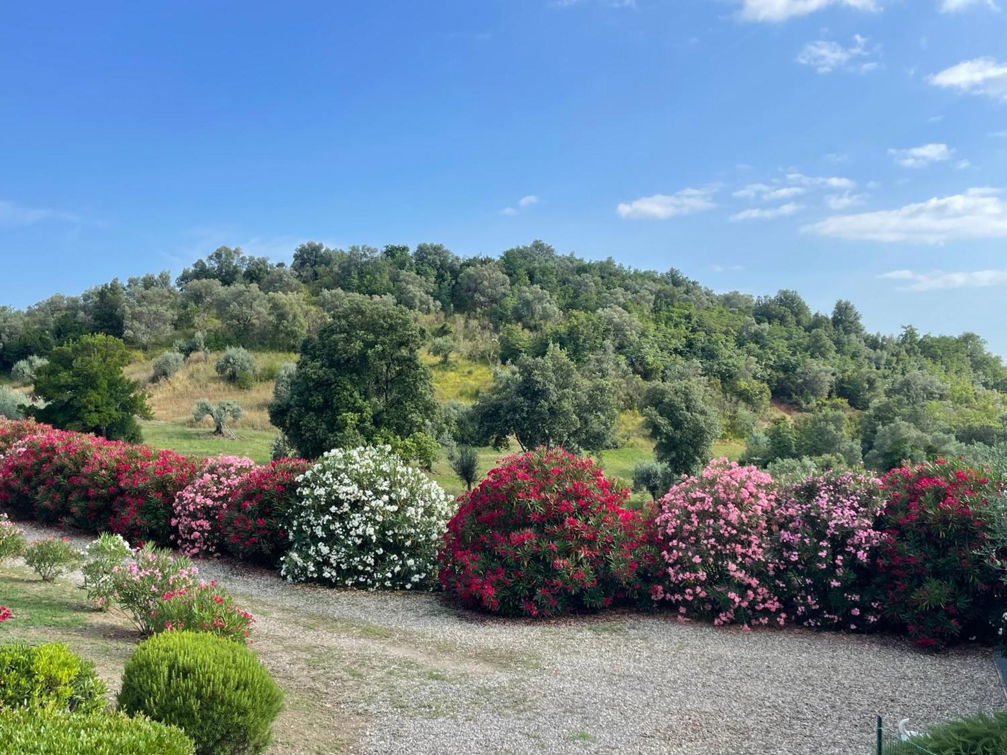 Tenuta Montemassi Podere Montauzzo Екстер'єр фото